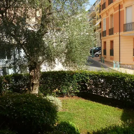 Mediterranee